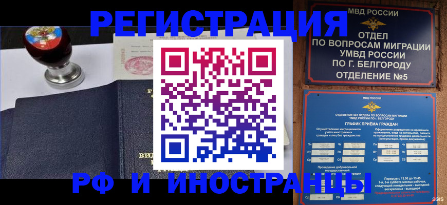 временная регистрация поиск в Михайловске